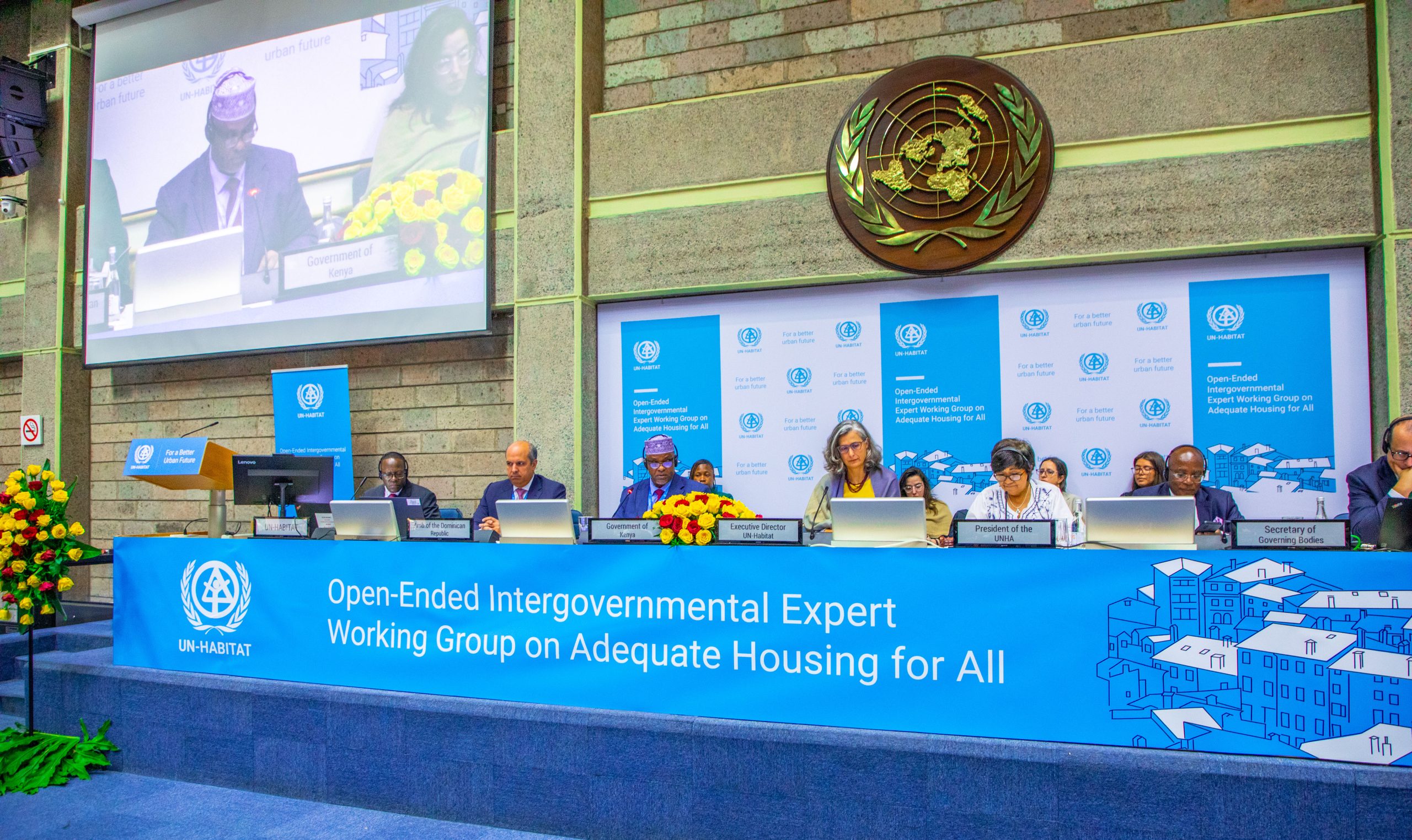 OEWG Adequate Housing for All (13)